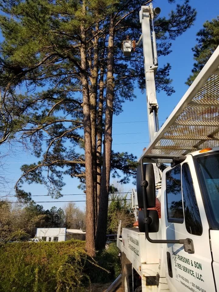 residential tree services, commercial tree services, parson and sons tree service, Arkansas tree services
