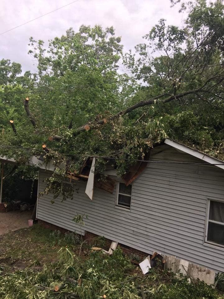 24 Hour Emergency Residential Tree Service in Arkansas