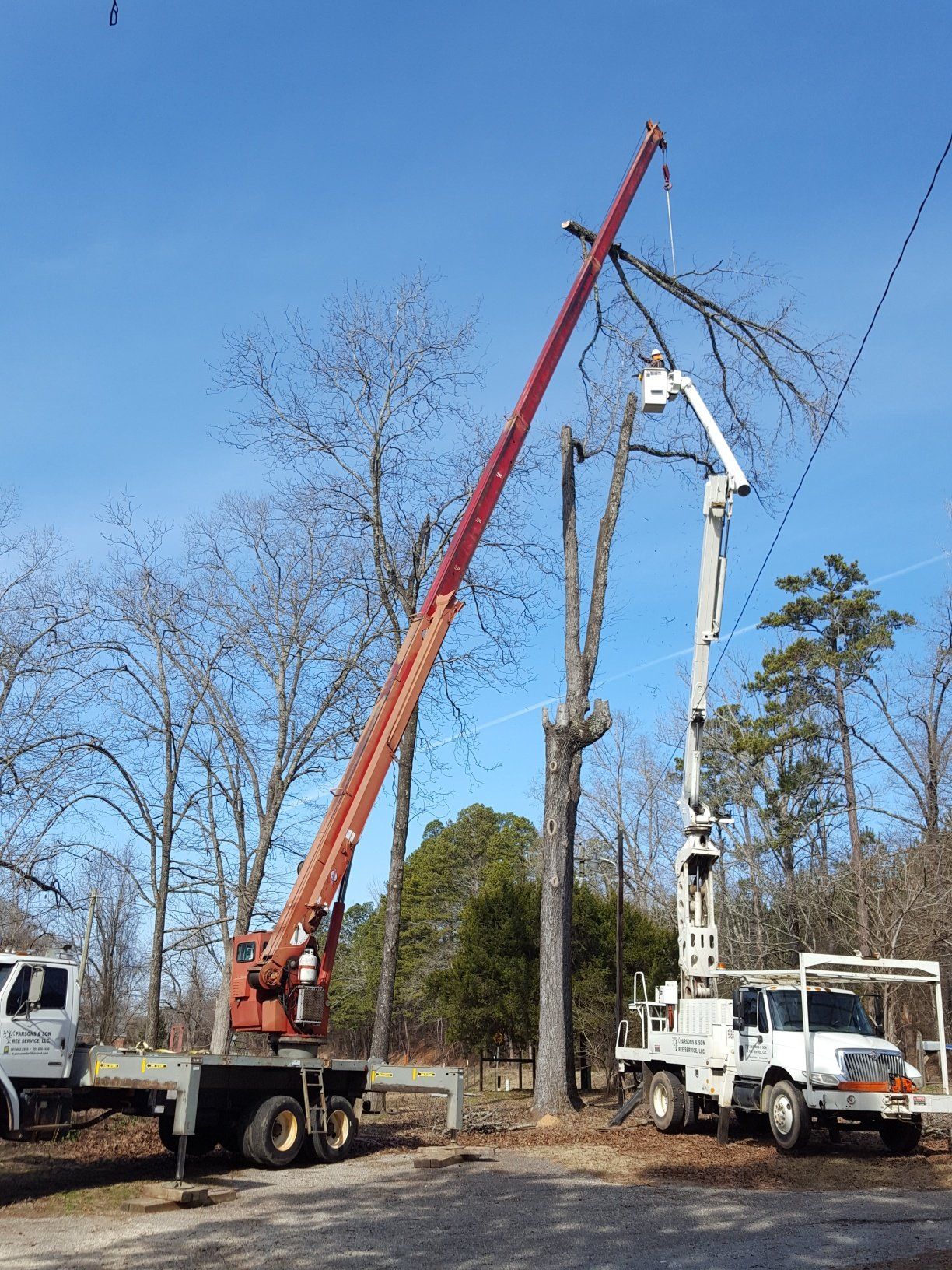 residential tree services, commercial tree services, parson and sons tree service, Arkansas tree services