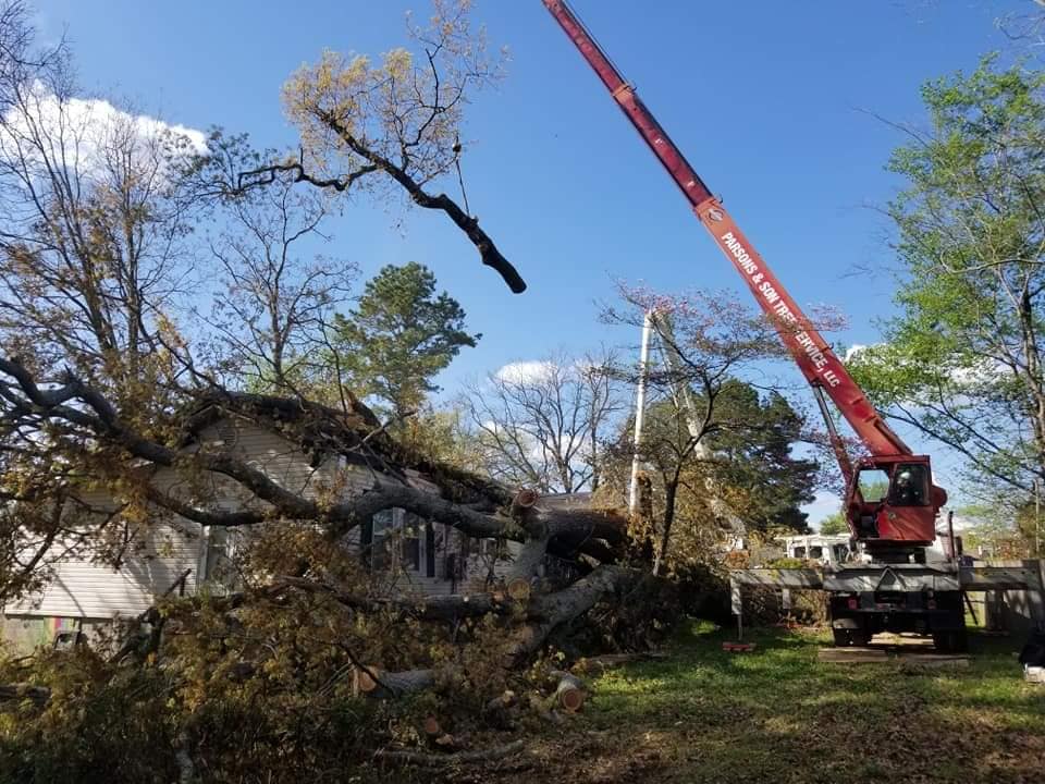 Storm Tree Removal in Arkansas