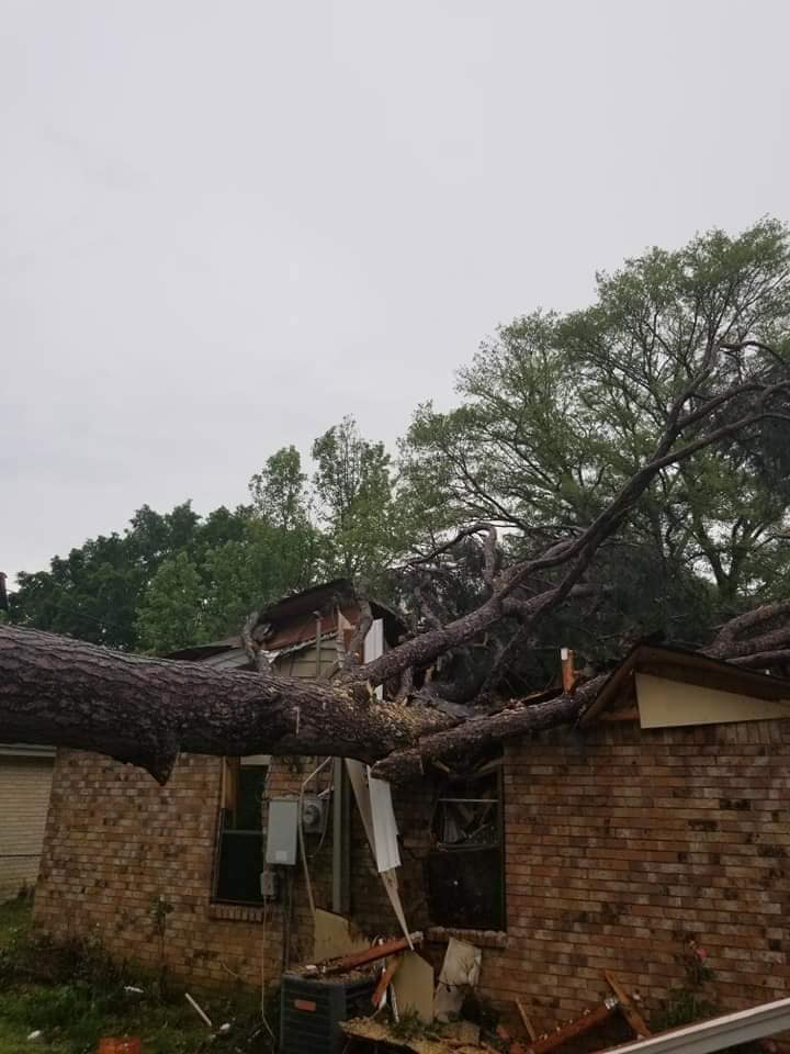 Storm damaged tree on house