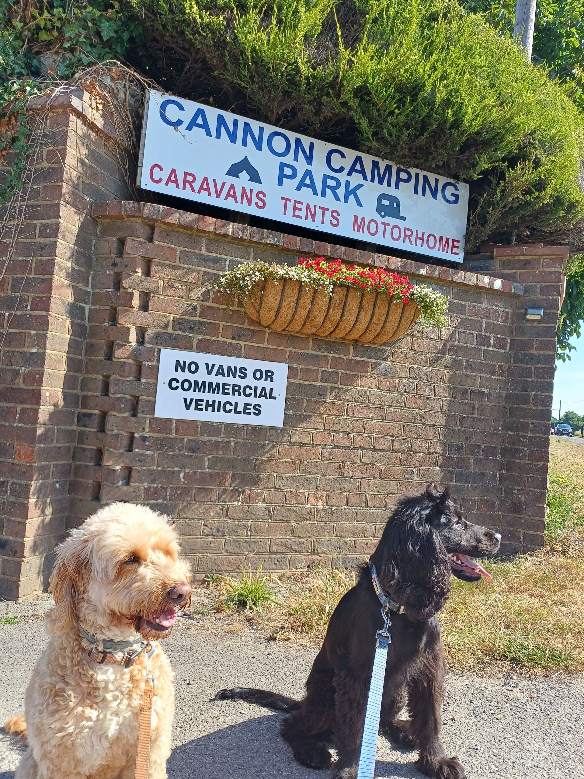 Dog friendly motorhome campsite Cannon Camping in Pevensey Bay