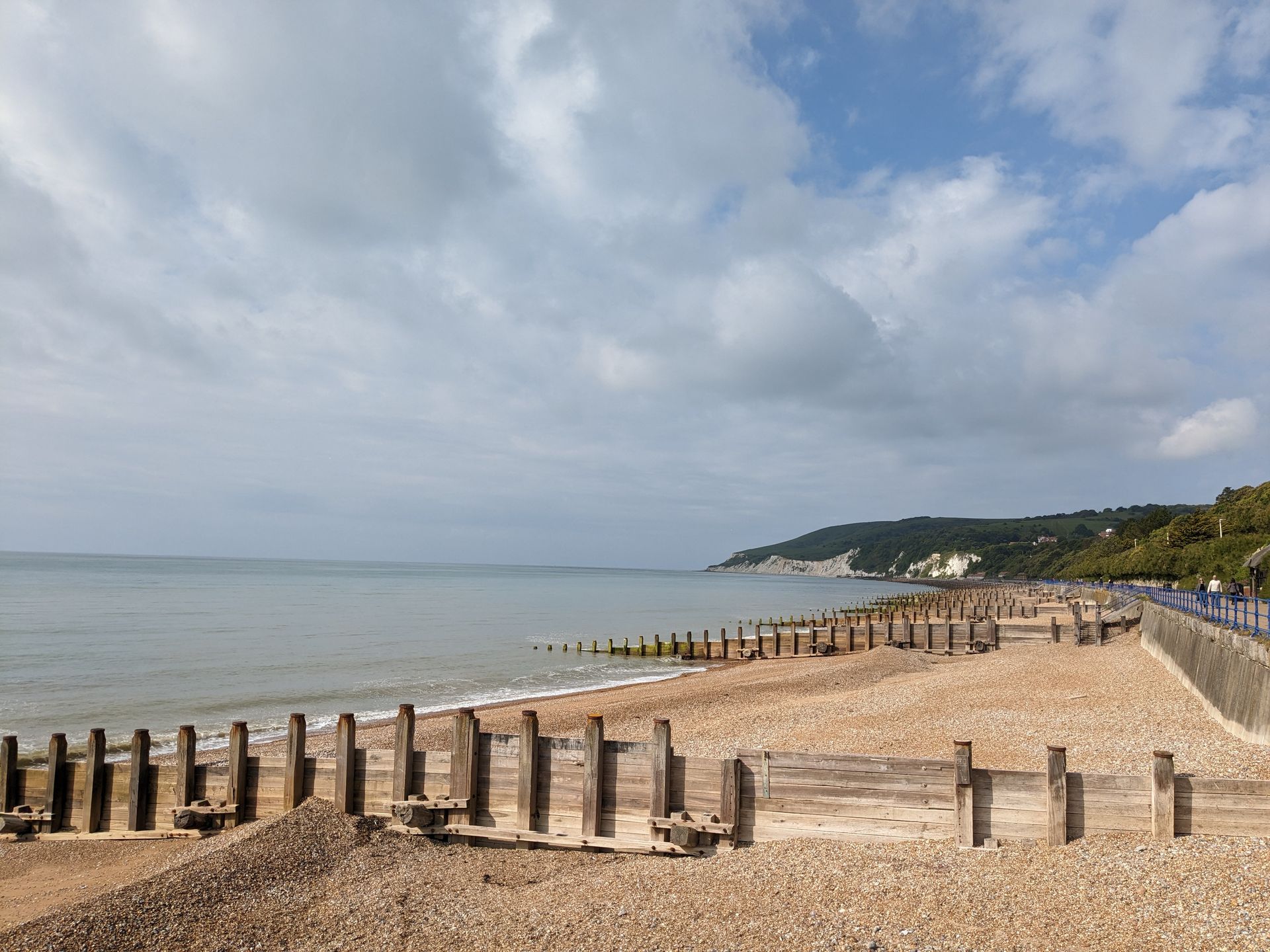 Dogs welcome here on the dog friendly beach in Eastbourne