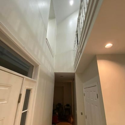 home+painting+illinois