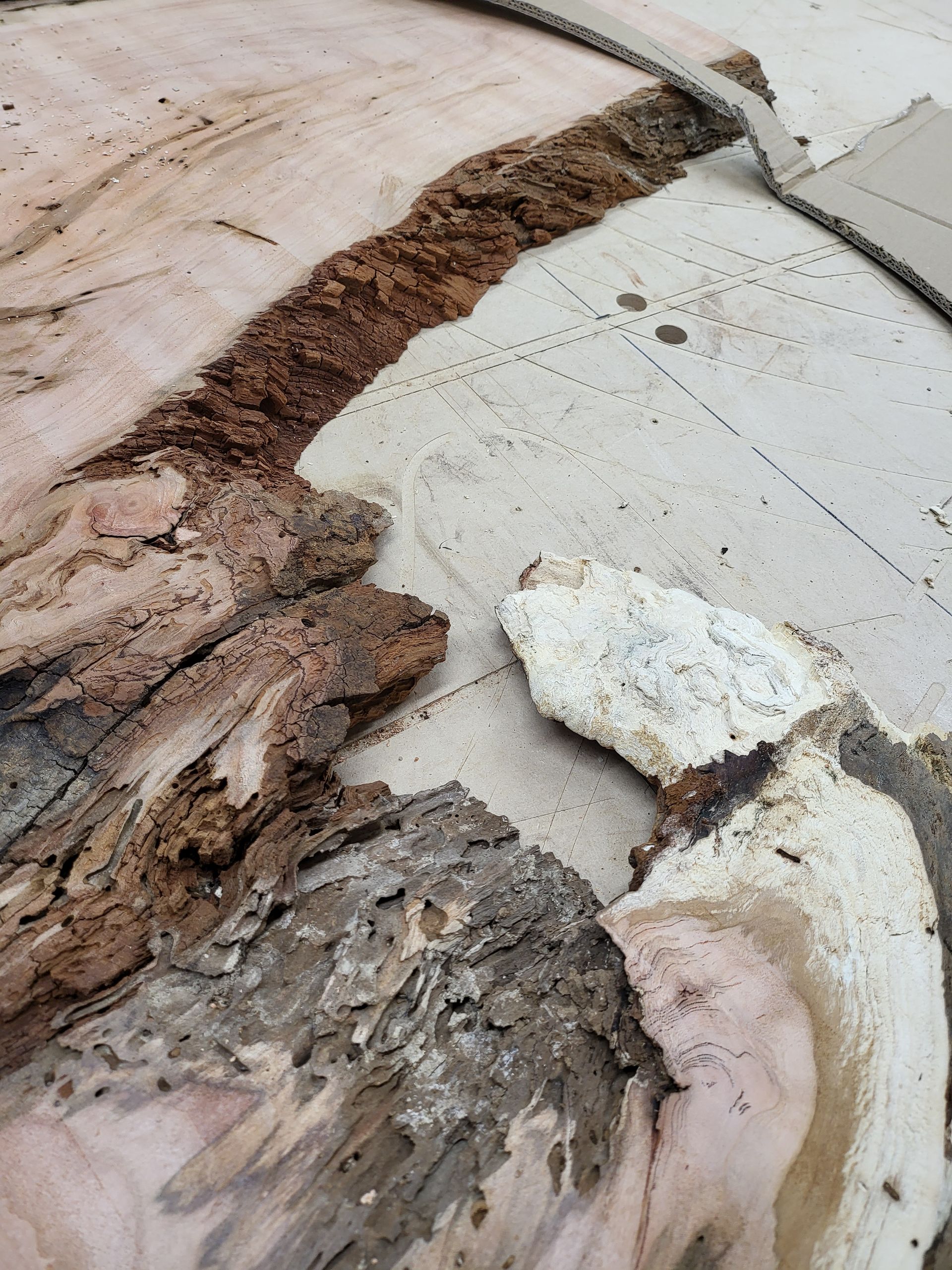 A close up of a piece of wood with a few pieces missing