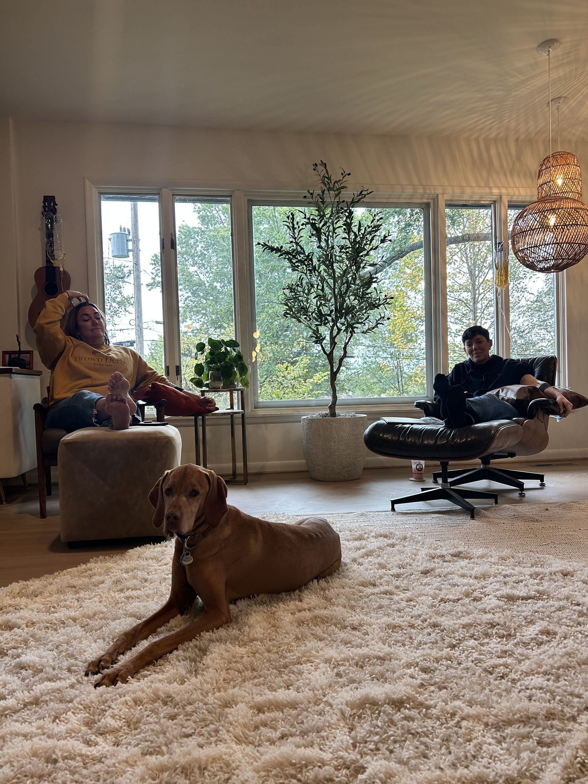 Dog resting on a shag rug, two people relaxed in chairs near a window, with a plant.