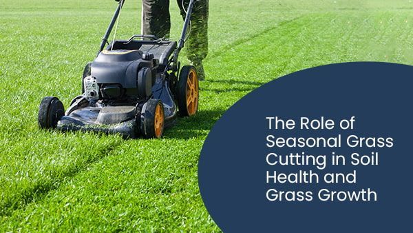 The role of seasonal grass cutting in soil health and grass growth
