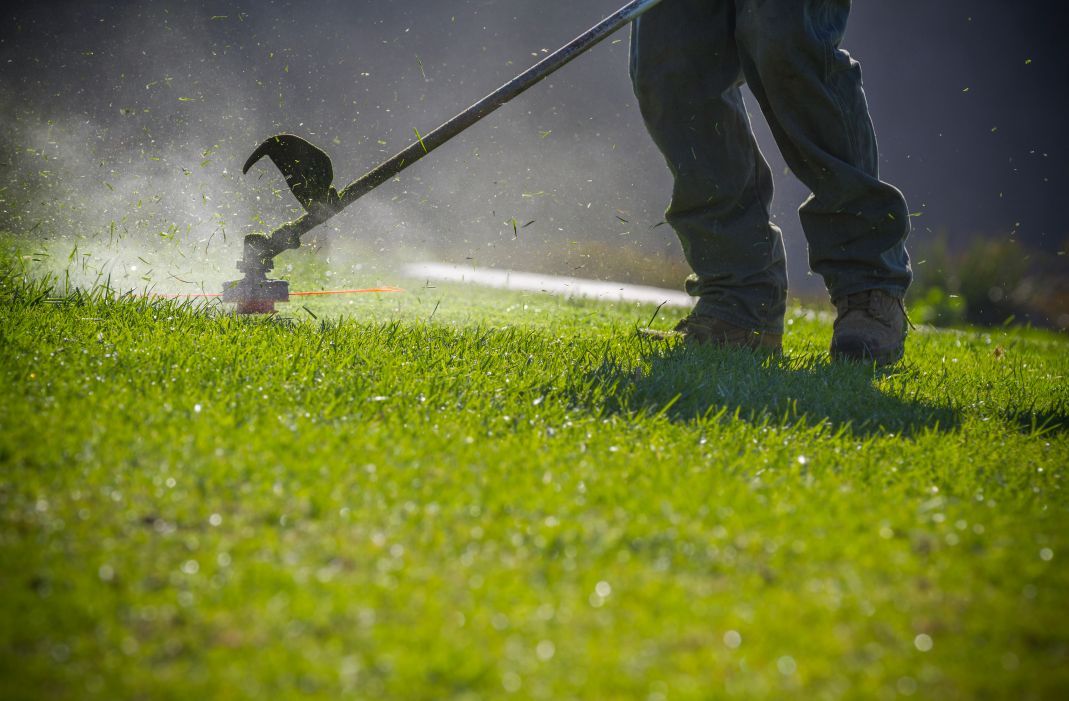 Manutenzione aree verdi
