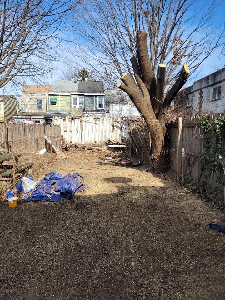 Backyard With A Tree — Bensalem, PA — Angel Multiservices