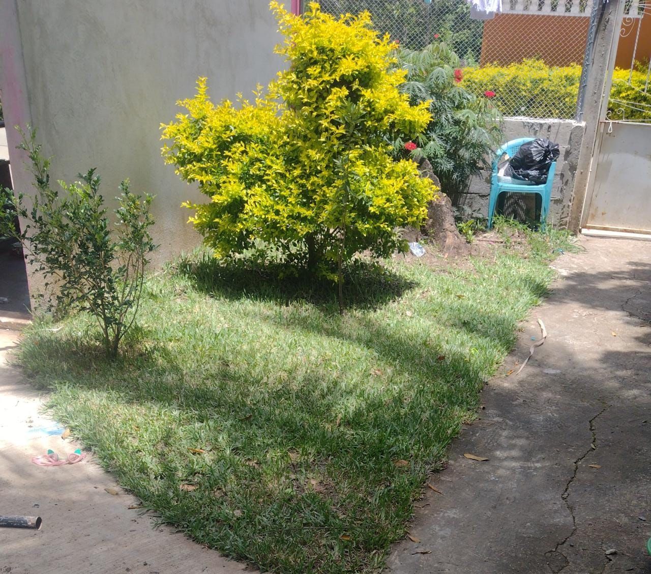 Landscaping — Bensalem, PA — Angel Multiservices