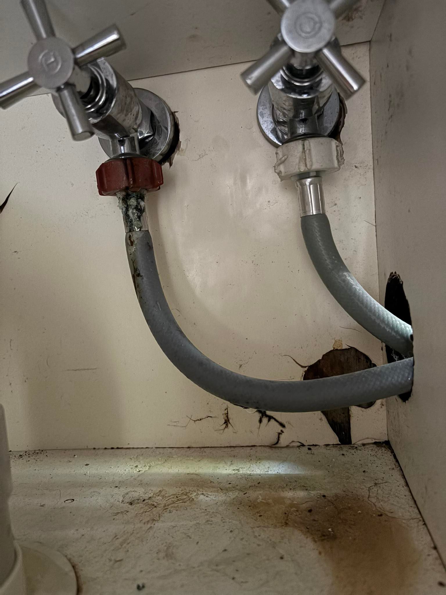 Two faucets are connected to a hose under a sink.