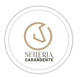 Centro ippico sottomonte logo