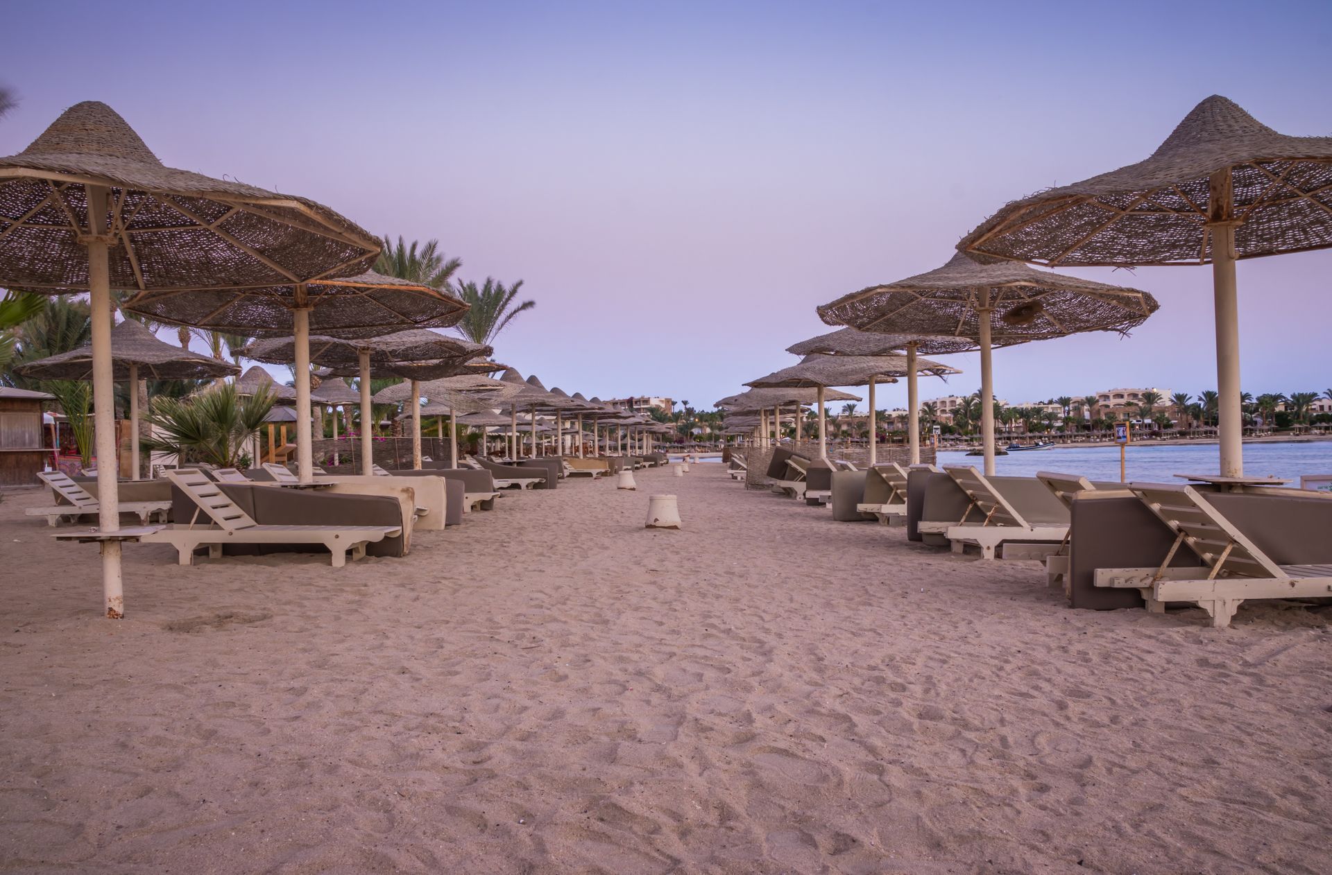 Beach scene with rows of straw umbrellas, lounge chairs, and sand under a dusky sky.