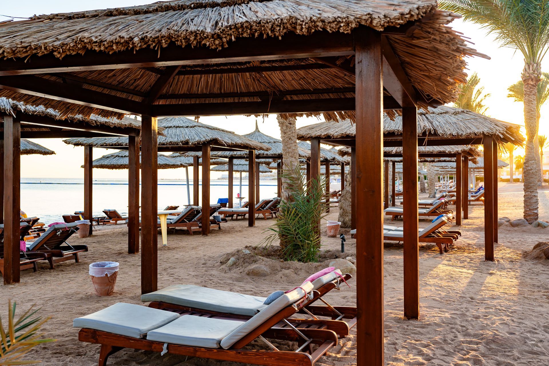 Beach scene with shaded lounge chairs under thatched canopies, palm trees, and ocean backdrop.