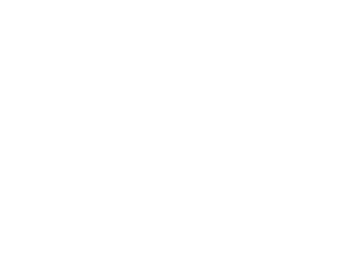 Company Logo - White
