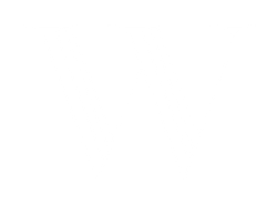 Company Logo - White