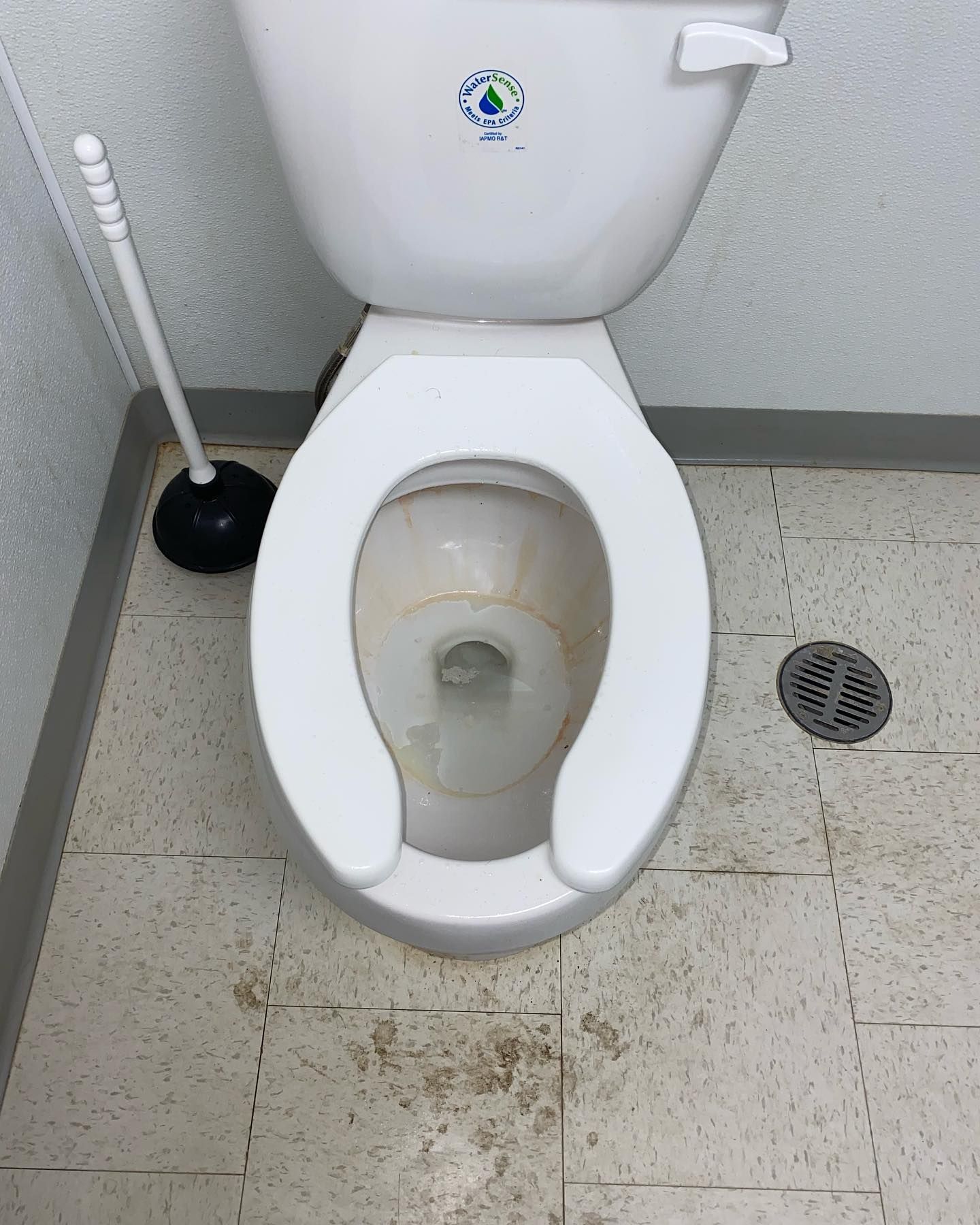 A toilet with a plunger on the floor next to it