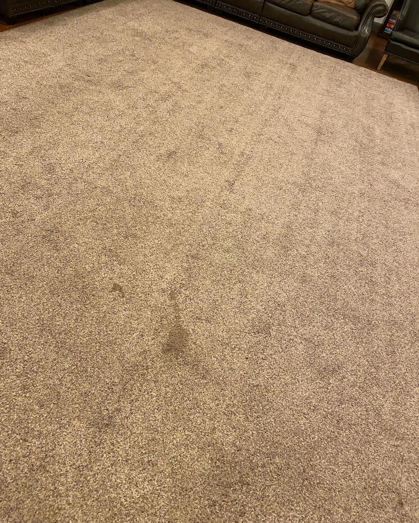 A large rug is sitting on the floor in a living room next to a couch.