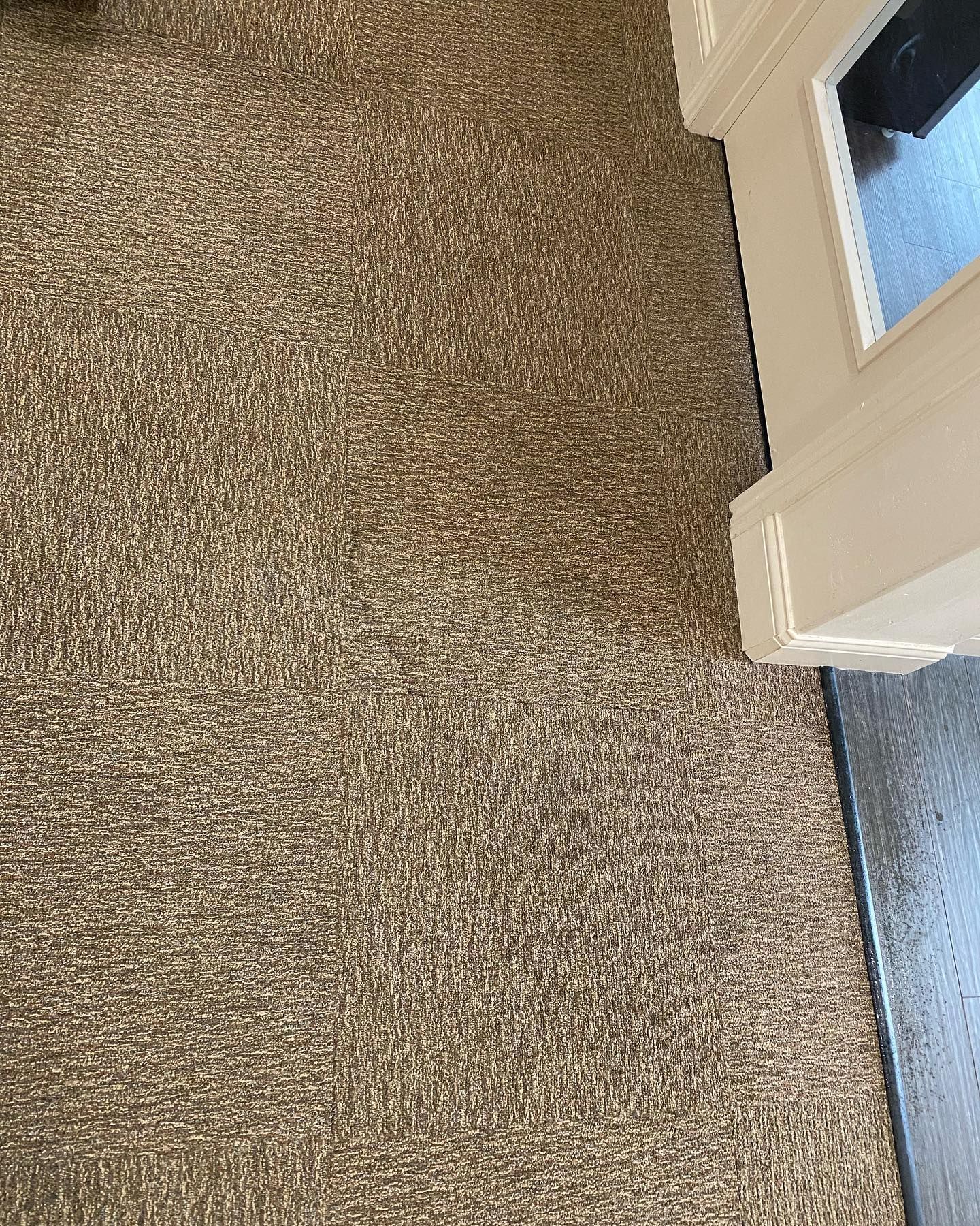 A close up of a carpeted floor next to a door.