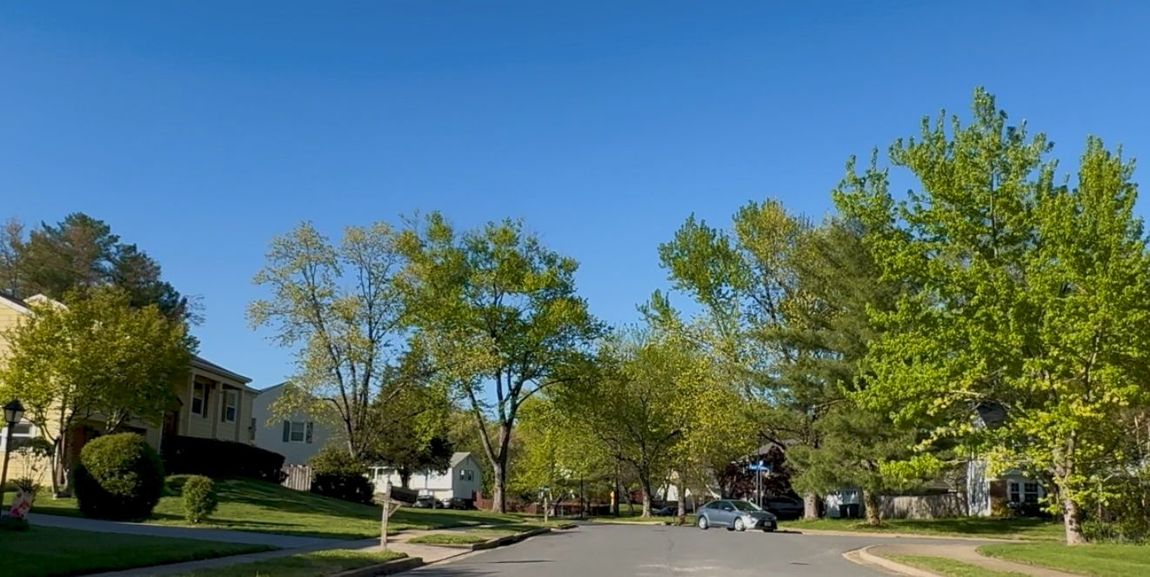 A lovely neighborhood with tree lined streets