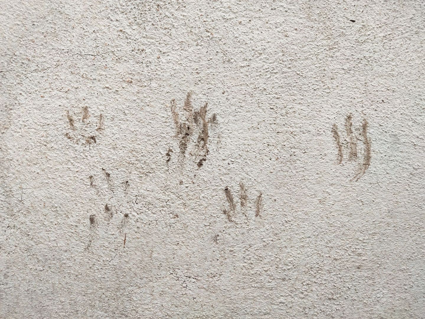 A close up of a carpet with footprints on it.