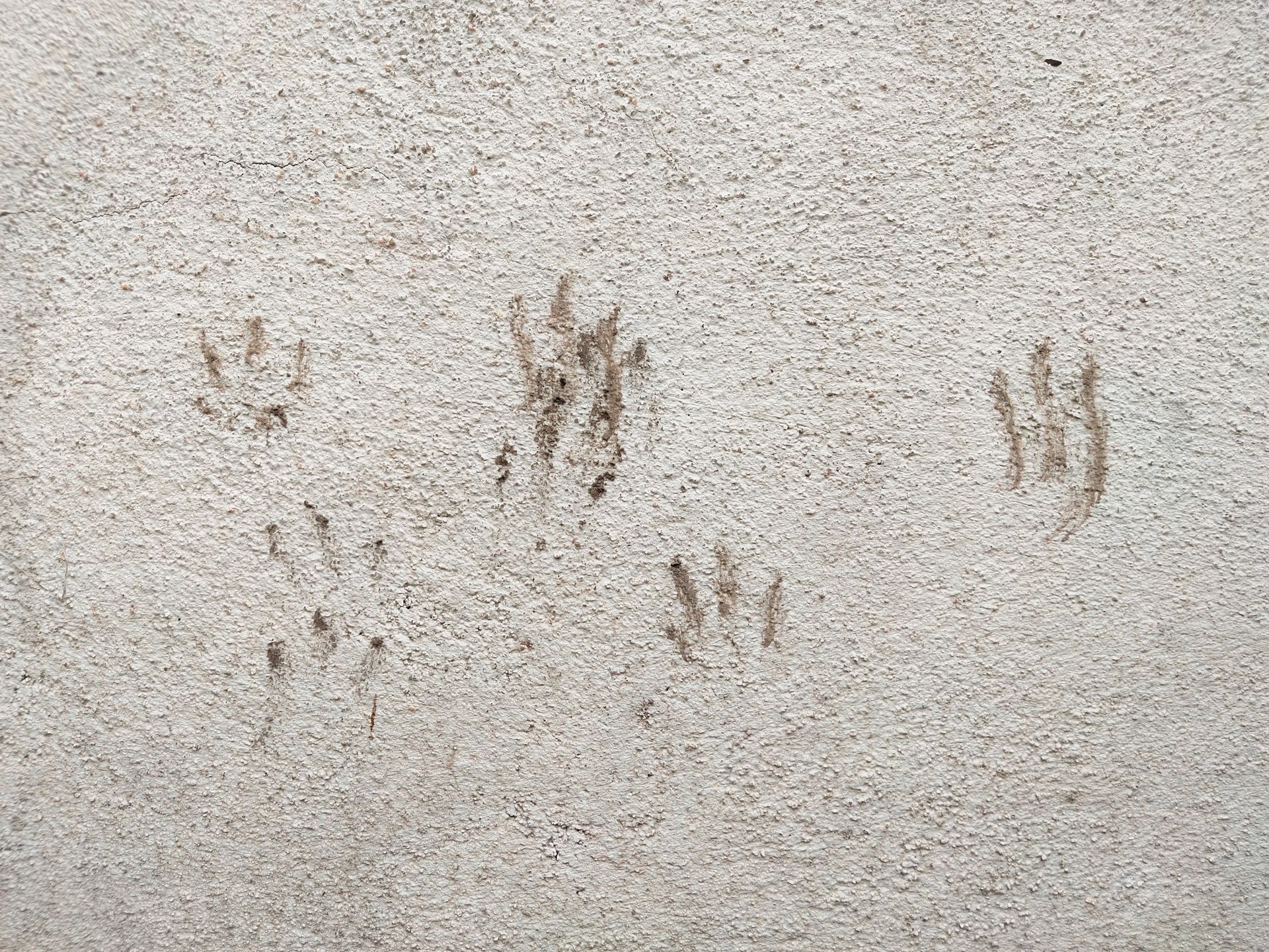 A close up of a carpet with footprints on it.