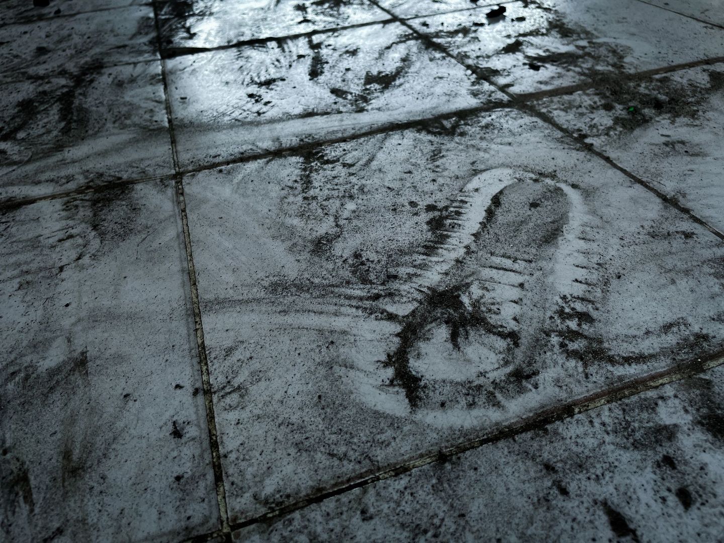 A footprint in the snow on a tiled floor