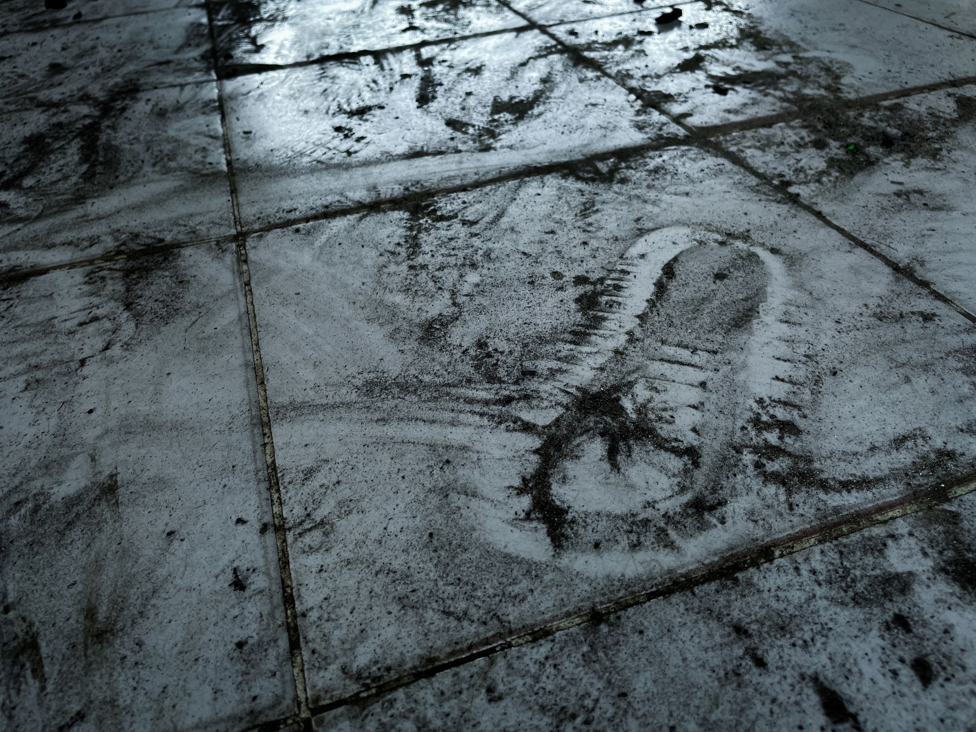 A footprint in the snow on a tiled floor