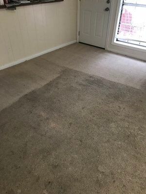 A room with a carpeted floor and a door.