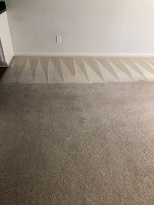 A living room with a carpeted floor and a white wall.