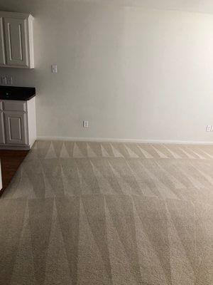 An empty living room with a carpeted floor and white walls.
