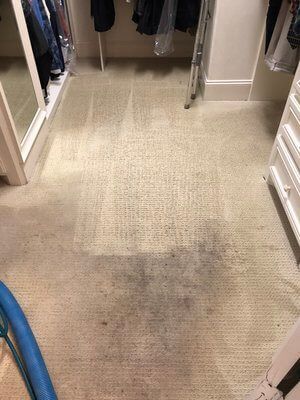 A closet with a dirty carpet and a vacuum in it.