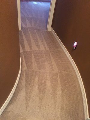 A hallway with a curved carpet and brown walls.