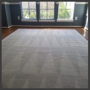 There is a large rug in the middle of the room.