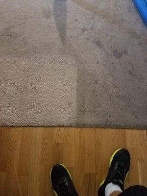 A person is standing on a wooden floor next to a carpet.