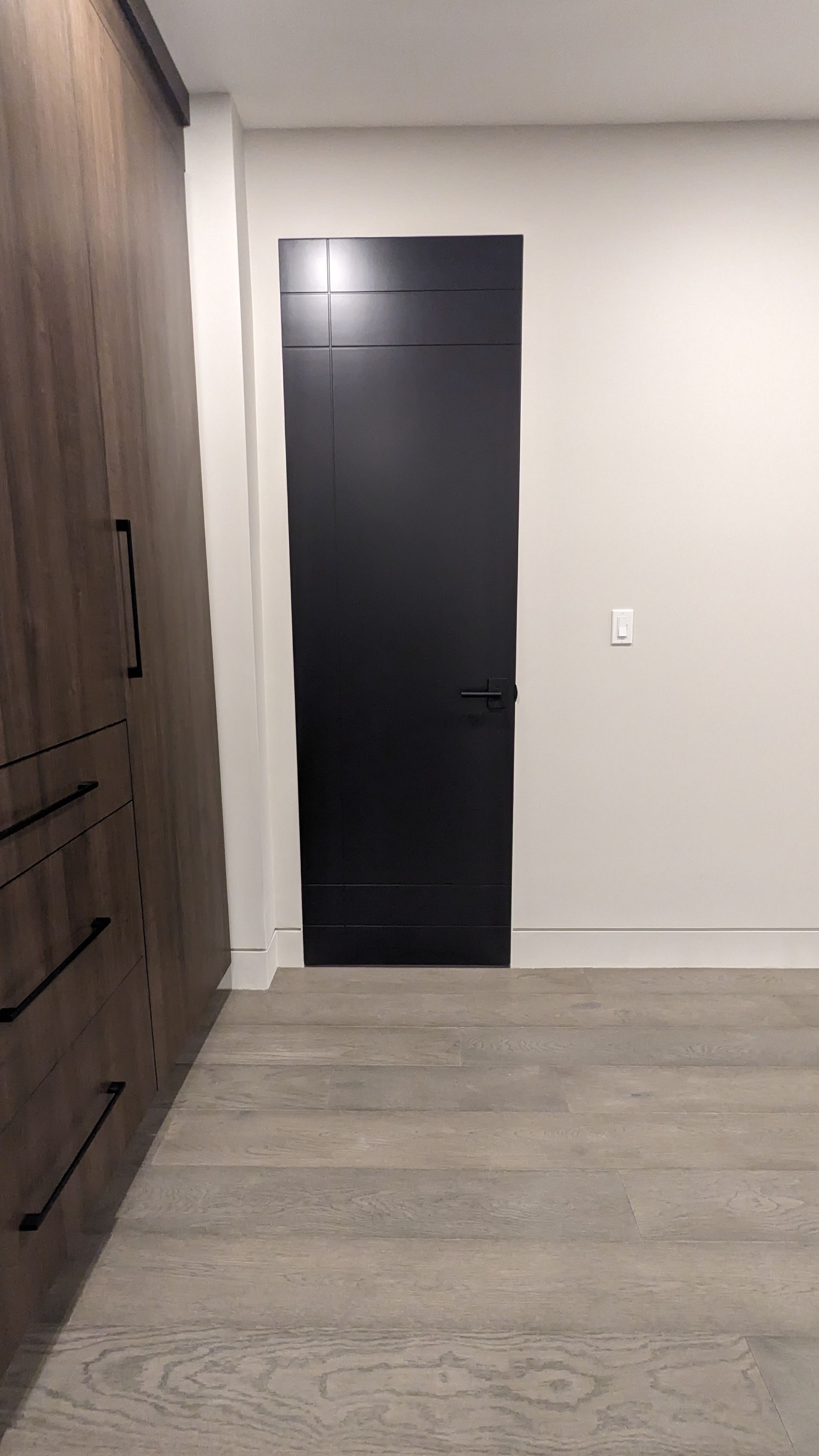 There is a black door in the middle of the room.