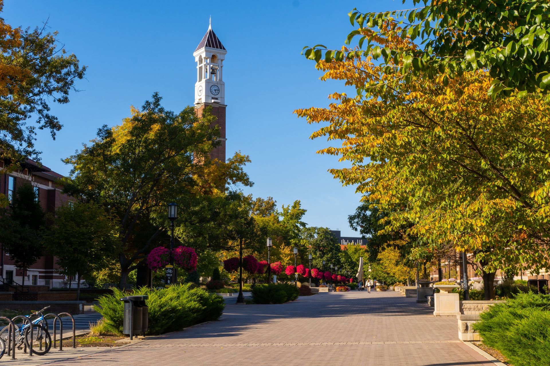 Brick pathway lined with trees, flower baskets, and a tall clock tower under a blue sky.