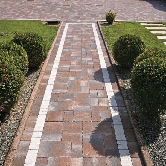 vialetto in un giardino