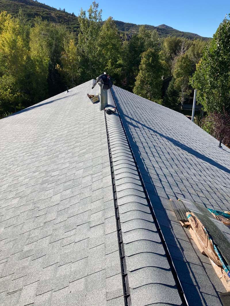 A ladder is leaning against the side of a house