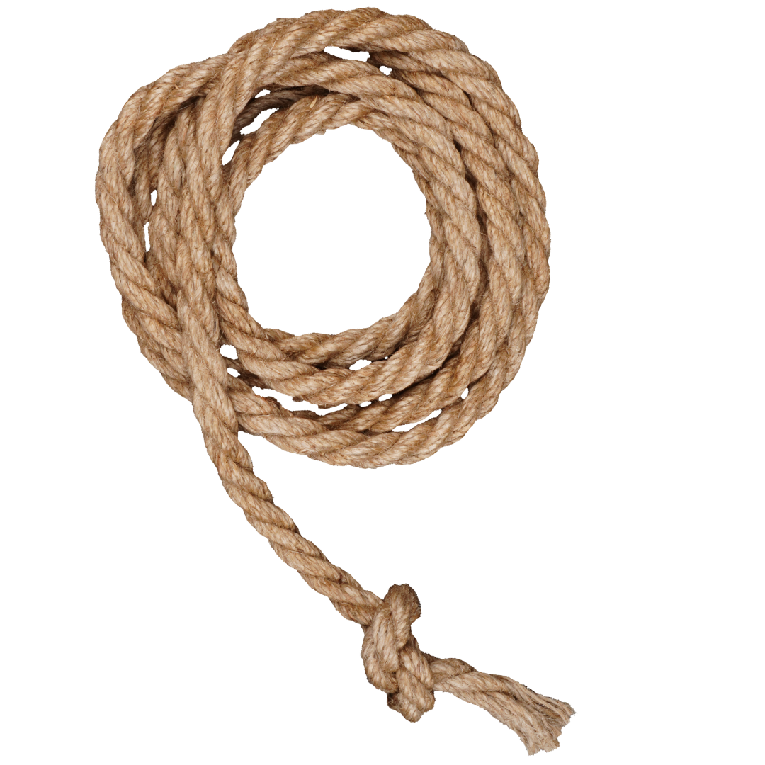 Coiled lasso rope graphic used in Fiesta Charra Eastwood branding and charrería themed design