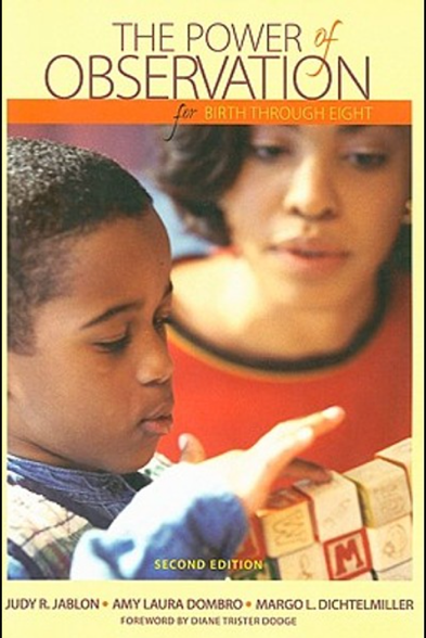 Book cover: Boy and woman observe blocks. Title: The Power of Observation.