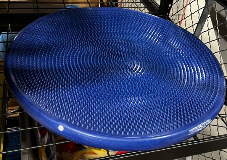 Blue balance disc with textured surface.