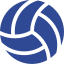 Blue volleyball with white panels.
