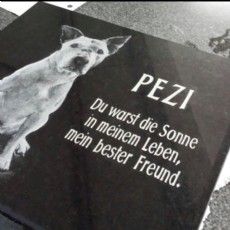 Ein Schwarzweißfoto eines Hundes mit einem Zitat darauf.