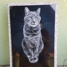 Ein Schwarzweißfoto einer Katze auf einer Granittafel.