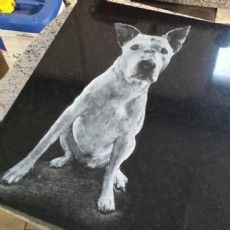 Ein Schwarzweißfoto eines Hundes, der auf einer schwarzen Oberfläche sitzt.