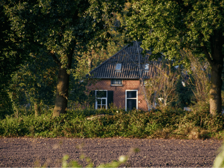 A large brown wooden house, with a big front yard.