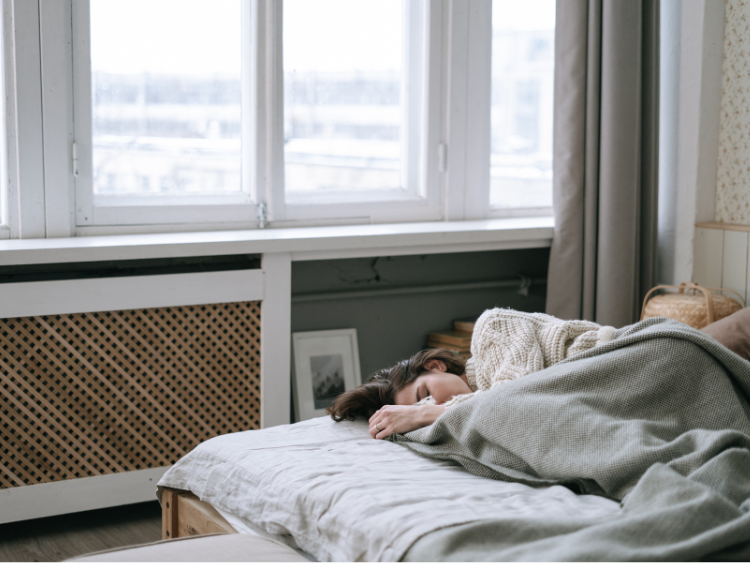 Bright bedroom with pillows on a bed, shelving with plants, books, and candles, shadows on white wall.