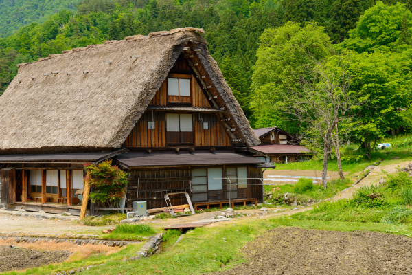 Gray house surrounded by autumn trees; red, orange, and green foliage.