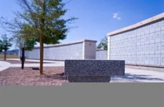 There is a bench in the foreground and a tree in the background.